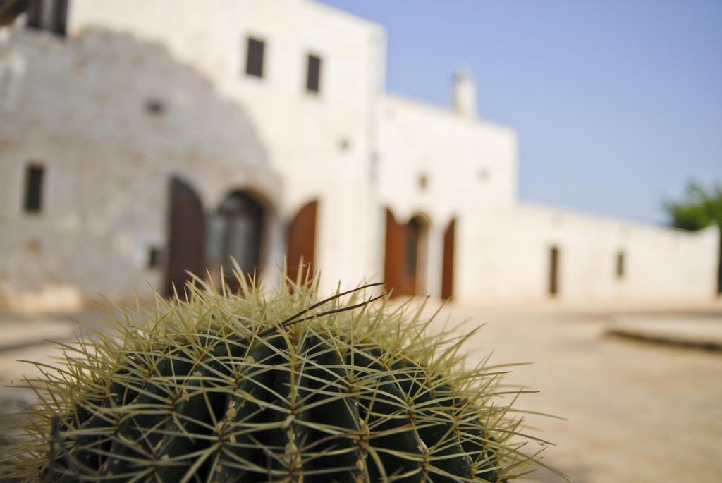 Masseria Valente Ostuni Δωμάτιο φωτογραφία